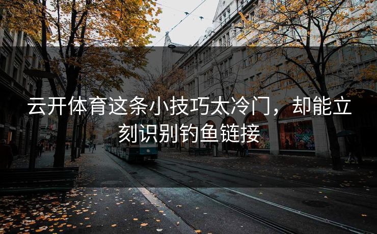云开体育这条小技巧太冷门，却能立刻识别钓鱼链接